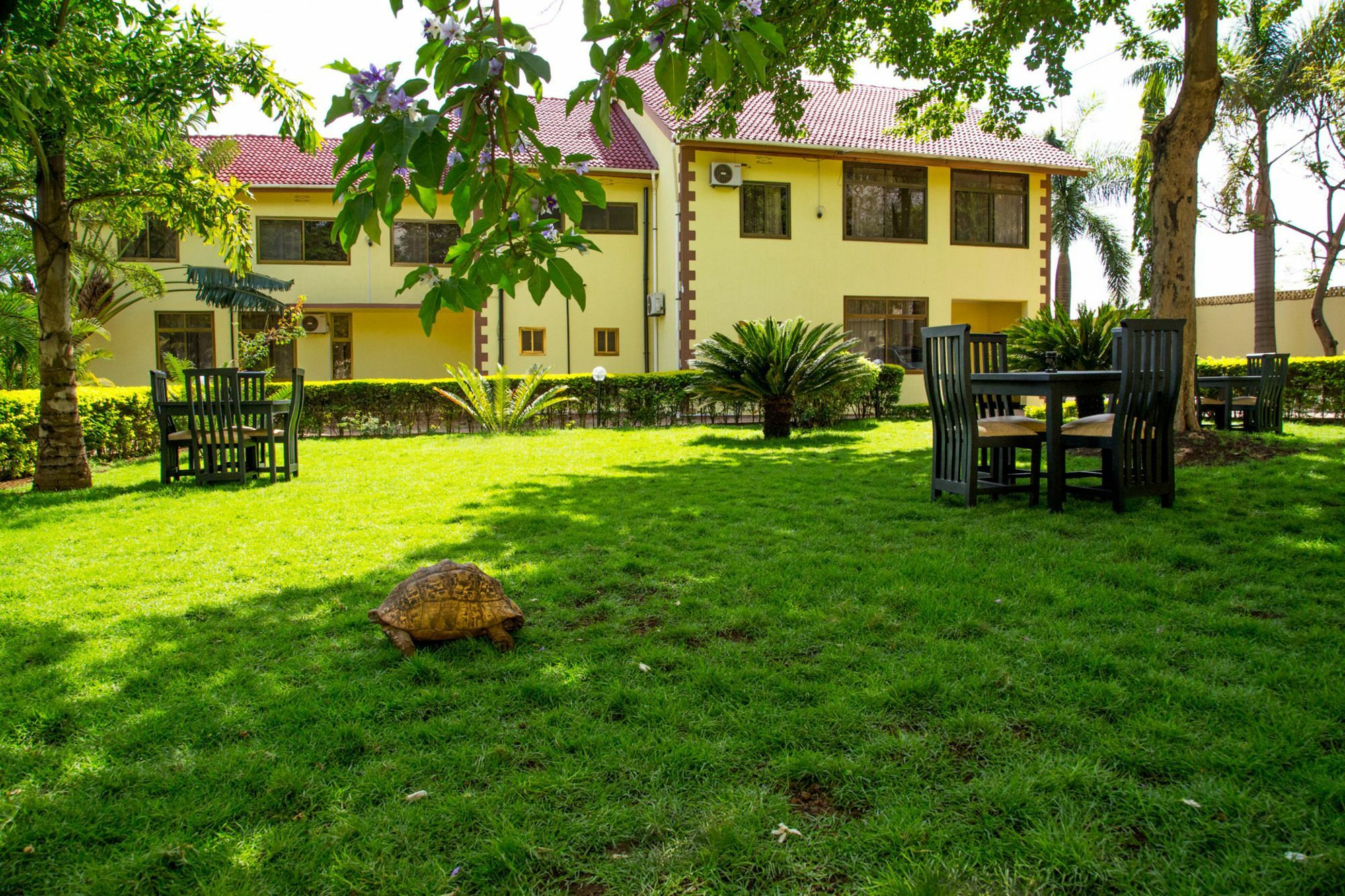 Altezza Lodge Moshi Esterno foto